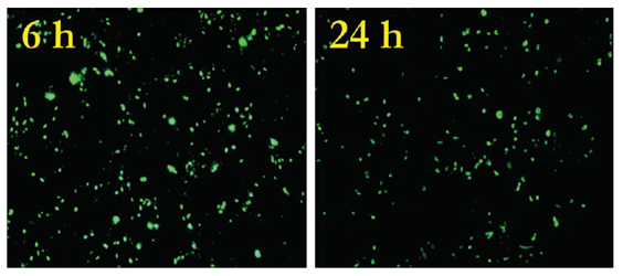 2 images of lots of particles on steel