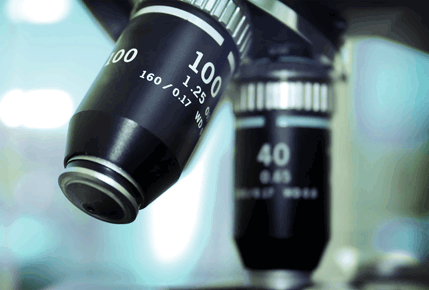 microscope lenses